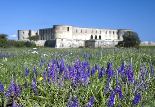 Slottsruinen på Öland